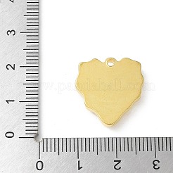 Подвески из нержавеющей стали 304&nbsp;LS-STAS-I330-029G