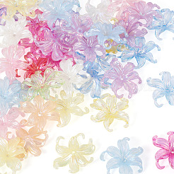50 pièces 2 styles de capuchons de perles en acrylique&nbsp;OACR-TA0004-84