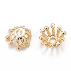 Латунные многолепестковые колпачки для бусинок&nbsp;X-KK-K251-06G