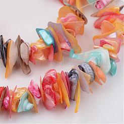 Conchiglia naturale fili di perle&nbsp;BSHE-P021-10