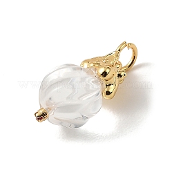 Pendentifs de cristal de quartz naturel&nbsp;KK-D262-05G-02