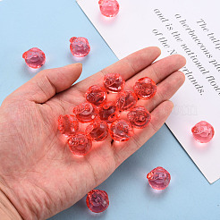 Прозрачные акриловые подвески&nbsp;TACR-T024-05B-910