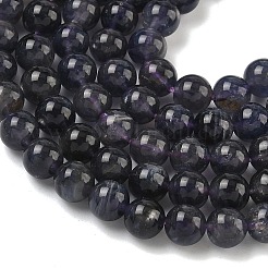 Naturperlen Stränge iolite&nbsp;G-E576-05C