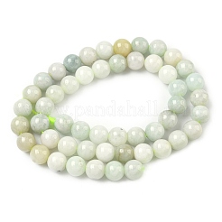 Натуральный майяр нефрит / бурманский нефрит бисерные пряди&nbsp;G-K310-C05-8mm-01