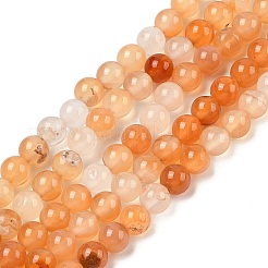 Натуральный красный агат бисер нитей&nbsp;G-A248-A06-01