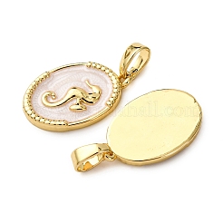 Латунь эмаль подвески&nbsp;KK-F911-01A-G01