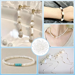 4 стили натуральные смешанные бусины из ракушек&nbsp;BSHE-PH0001-45