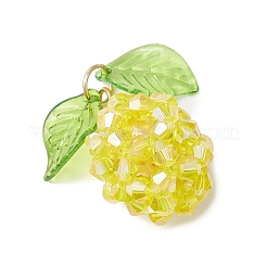 Стеклянные подвески&nbsp;PALLOY-MZ01074-03