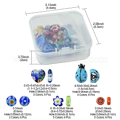 30шт 6 стиля ручной работы бусины лэмпворк&nbsp;LAMP-FS0001-12