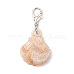 5 шт. 5 стиля акриловая ракушка морская звезда подвеска украшение&nbsp;HJEW-JM03875