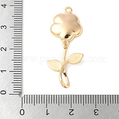 Латунь эмаль подвески&nbsp;KK-A253-01G-03