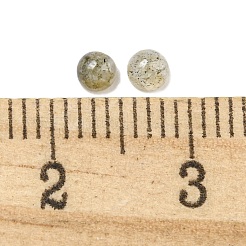 Natur Labradorit Cabochons&nbsp;G-Q173-01A-15