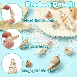 10 pendentif en coquillage naturel mélangé électroplaqué&nbsp;BSHE-YW0001-22