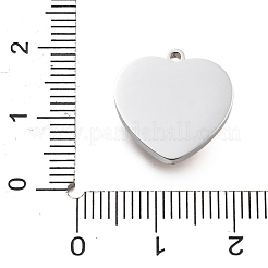 Подвески из нержавеющей стали 304&nbsp;STAS-R155-060G