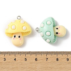 Милые подвески из непрозрачной смолы&nbsp;FIND-Z102-09P