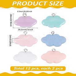 12 шт. 6 цвета непрозрачные подвески из смолы&nbsp;RESI-LP0001-07