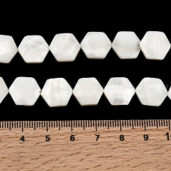 Нити бусин из натуральной белой ракушки&nbsp;SHEL-G022-01