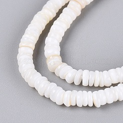 Naturali di acqua dolce perline shell fili&nbsp;SHEL-Q028-01