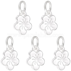 5 pièce 925 breloques en argent sterling&nbsp;STER-BBC0009-44B