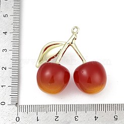 Подвески из сплава и акрила&nbsp;PALLOY-S053-01LG-F