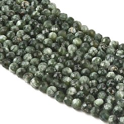 Perles naturelles SERAPHINITE brins&nbsp;G-K376-A02-2mm