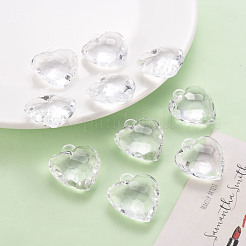 Прозрачные акриловые подвески&nbsp;TACR-T024-03B-205