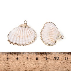 Colgantes de concha marina natural galvanizada&nbsp;SSHEL-T018-15