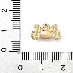 Pendentif en alliage &nbsp;FIND-Z101-04G-04