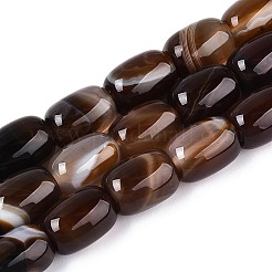 Окрашенные натуральные полосатые агатовые бусы&nbsp;G-T144-44B