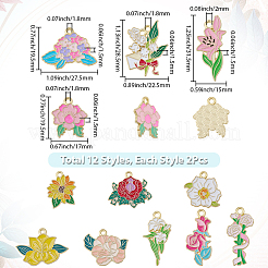 24шт 12 стиля подвески из сплава с эмалью&nbsp;ENAM-BM0001-02