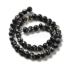 Fili di perle sintetiche turchesi e conchiglie montate&nbsp;G-D482-01D