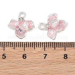 Pendentifs d'émail en alliage&nbsp;RB-CBA1FD3-04S