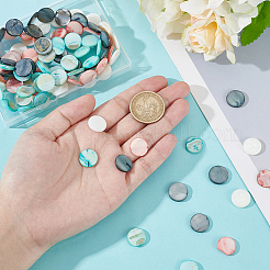 4 нитка 4 цвета натуральные белые ракушечные бусины нитки&nbsp;BSHE-HY0001-06