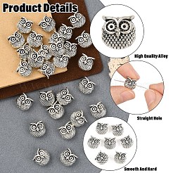 30 шт. бусины из сплава в тибетском стиле&nbsp;TIBEP-YW0002-10