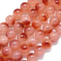 Chapelets de perles en jade de malaisie naturelle&nbsp;G-B165-C01-14mm
