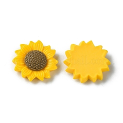 Непрозрачные кабошоны из смолы&nbsp;LS-RESI-H146-02A