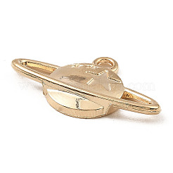 Aluminium Anhänger & Charms&nbsp;LS-FIND-E041-12KCG