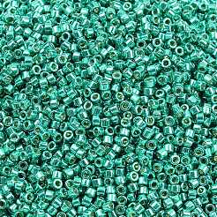 Perles miyuki delica&nbsp;SEED-X0054-DB2505