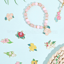 24шт 12 стиля подвески из сплава с эмалью&nbsp;ENAM-BM0001-02