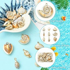 18 шт. 9 стиля позолоченные акриловые имитационные подвески-ракушки&nbsp;PACR-YW0001-42