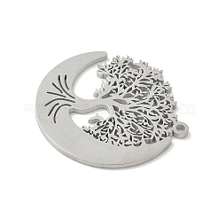 Colgantes de acero inoxidable 304&nbsp;X-STAS-V016-10P