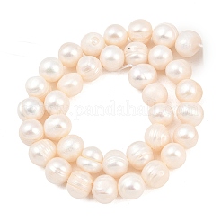 Brins de perles de culture d'eau douce naturelles&nbsp;PEAR-D003-01C-05
