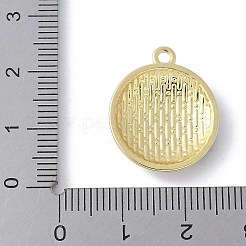 Подвески из эмали и сплава&nbsp;PALLOY-R153-02G-04