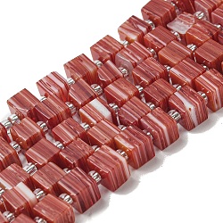 Handwork Lampwork Beads, with Glass Spacer Beads, Square, Salmon, 6x6x5~5.5mm, Hole: 0.9mm, about 54~55pcs/strand, 15.75~15.94''(40~40.5cm)