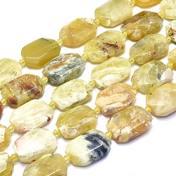Perline naturali opale fili, sfaccettato, pepite, 20.5~25x16.5~18x6.5~7.5mm, Foro: 2 mm, circa 15pcs/filo, 15.55 pollice (39.5 cm)