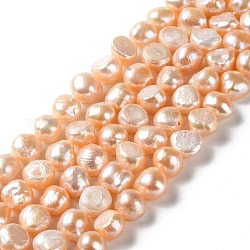 Fili di perle di perle d'acqua dolce coltivate naturali, due lati lucido, grado 3a+, peachpuff, 11~12x10~11x7~9mm, Foro: 0.7 mm, circa 34~35pcs/filo, 13.98~14.37'' (35.5~36.5 cm)