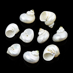 Natural Spiral Shell Beads, No Hole, Shell, 21~29x21~29x17~25mm