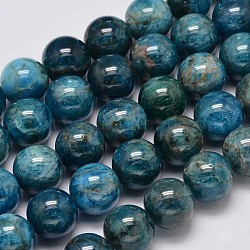 Apatita hebras de perlas redondas naturales, 12mm, agujero: 1 mm, aproximamente 33 pcs / cadena, 15.5 pulgada