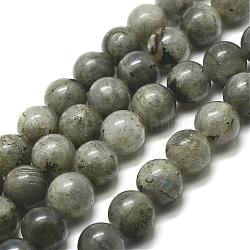 Natural Labradorite Bead Strands, Round, 10mm, Hole: 1mm, about 38pcs/strand, 15 inch