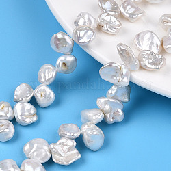 Brins de perles keshi de style baroque naturel, perle de culture d'eau douce, pépites, couleur de coquillage, 8~25x6~12x3.5~11mm, Trou: 0.5mm, Environ 57~64 pcs/chapelet, 15.35 pouce ~ 15.75 pouces (39~40 cm)